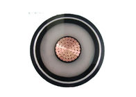 Copper / Aluminum 300mm 400mm Single Core Cable With Metal Sheath 220kv 110kv